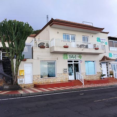 Apartamentos Trebol モカナル エクステリア 写真